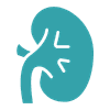 Nephrology