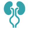 Urology